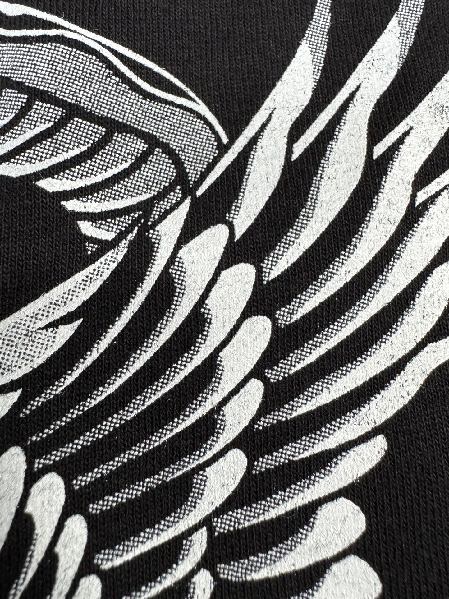 Midwest Violators - Eagle